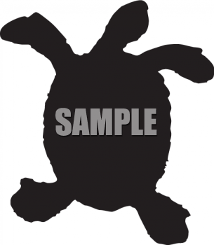 Turtle Clipart