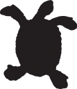 Turtle Clipart