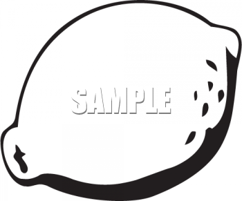 Lime Clipart