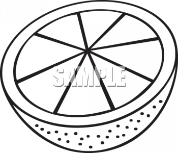 Grapefruit Clipart