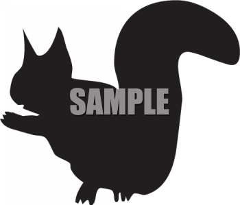 Squirrel Clipart