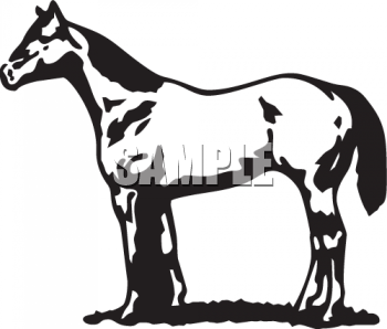 Horse Clipart