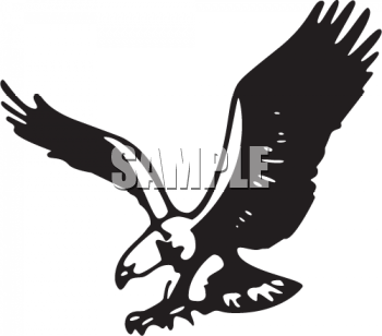Eagle Clipart