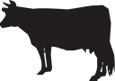 Cow Clipart