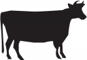 Cow Clipart