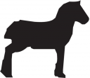 Horse Clipart