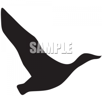 Geese Clipart