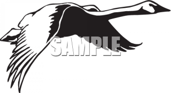 Geese Clipart