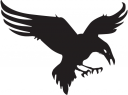 Eagle Clipart