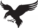 Eagle Clipart