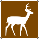 Deer Clipart