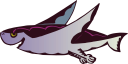 Shark Clipart