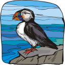 Penguin Clipart