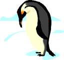 Penguin Clipart