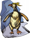 Penguin Clipart