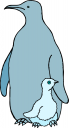 Penguin Clipart