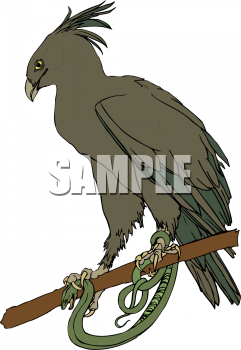 Falcon Clipart