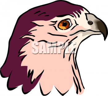Falcon Clipart