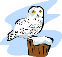 Bird Clipart