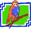 Owl Clipart