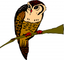 Owl Clipart