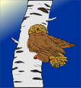 Owl Clipart