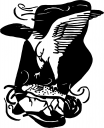 Falcon Clipart
