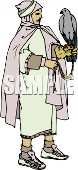 Falcon Clipart