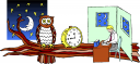 Owl Clipart