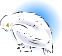 Owl Clipart