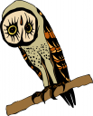 Owl Clipart