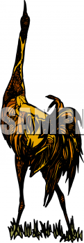 Ostrich Clipart