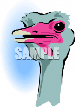 Ostrich Clipart