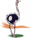Ostrich Clipart