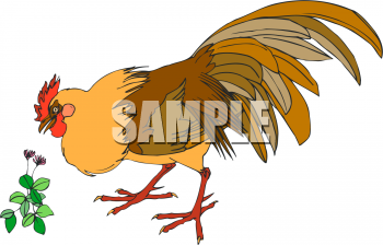 Rooster Clipart