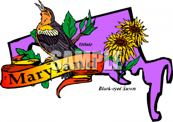 Oriole Clipart