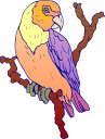 Bird Clipart