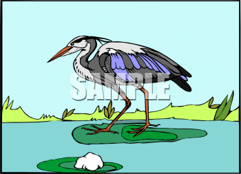 Crane Clipart