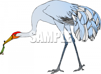 Crane Clipart