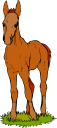Colt Clipart