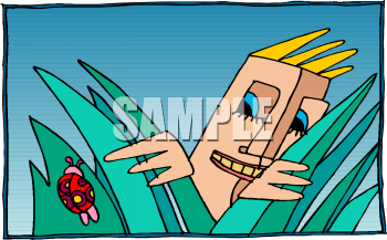 Ladybug Clipart