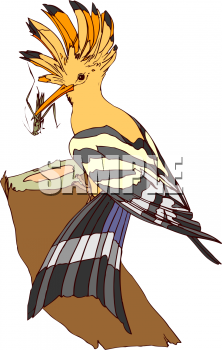 Grasshopper Clipart
