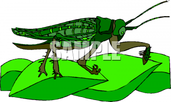 Grasshopper Clipart