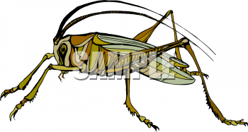 Grasshopper Clipart