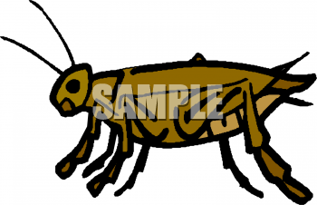 Grasshopper Clipart