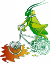 Grasshopper Clipart