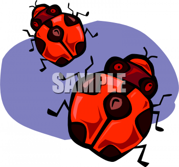 Ladybug Clipart