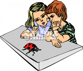 Ladybug Clipart