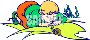 Snail Clipart