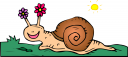 Snail Clipart